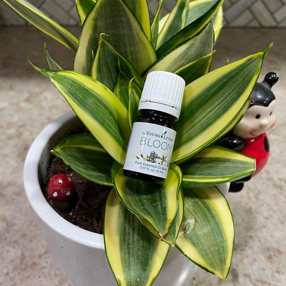 Young Living Bloom Essential Oil